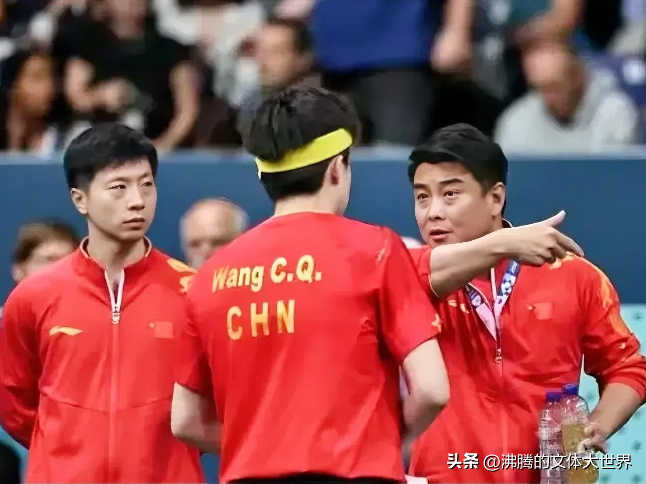 日本队力克德国队，王皓点燃赛场