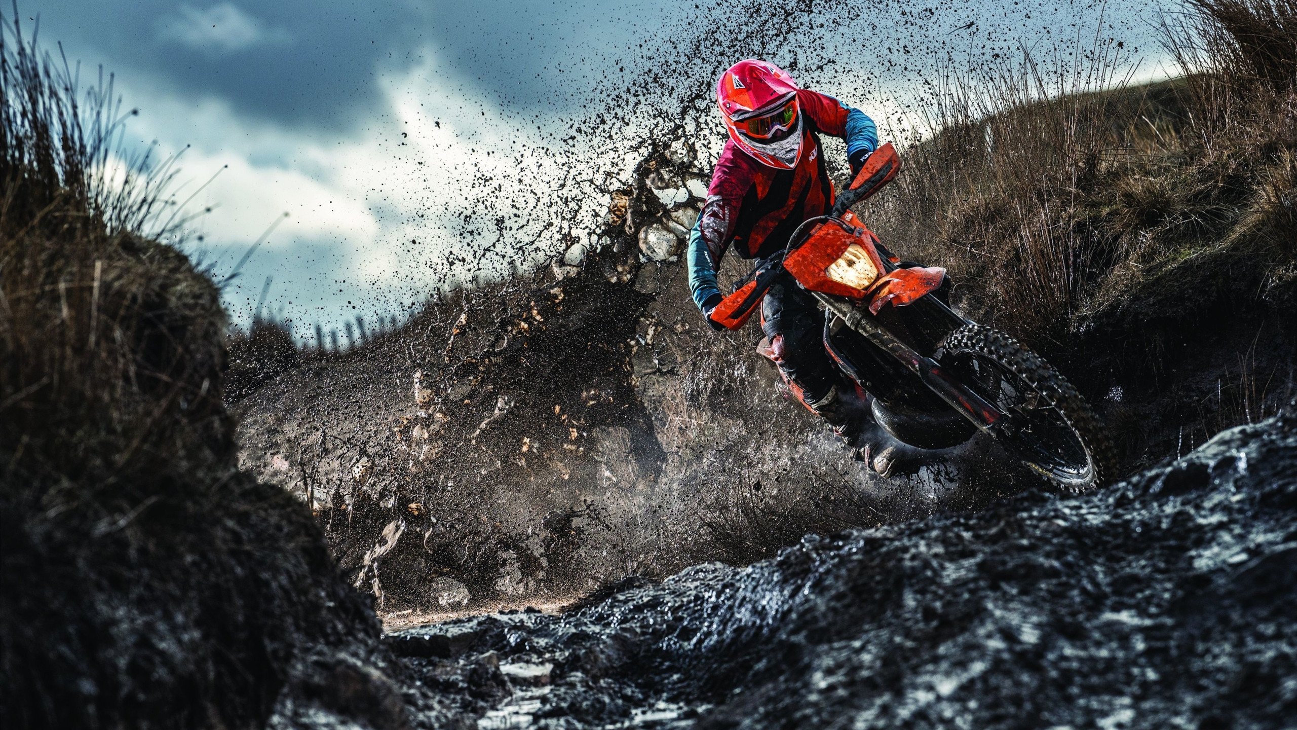 2026世界杯之夜，莫兰特进攻端无人可挡，篮球新王加冕