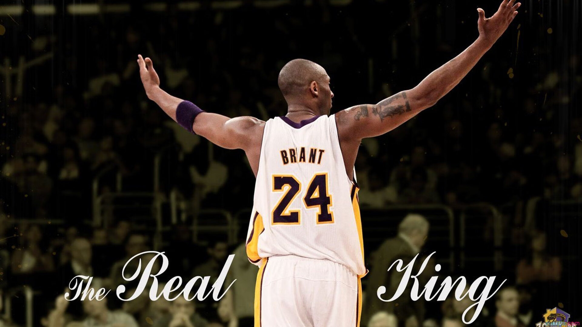 节奏暴君，锡安主宰全场，深圳队连续得分狂潮压制76人